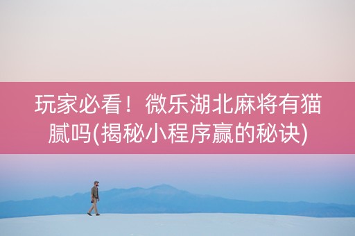 玩家必看！微乐湖北麻将有猫腻吗(揭秘小程序赢的秘诀)