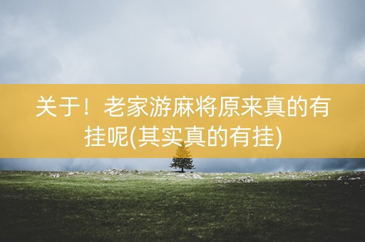 关于！老家游麻将原来真的有挂呢(其实真的有挂)