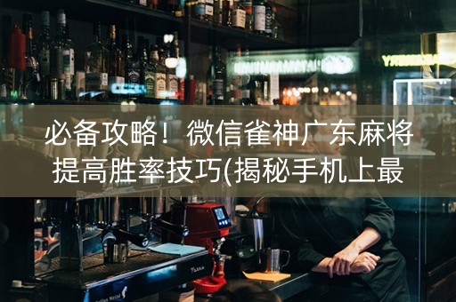 必备攻略！微信雀神广东麻将提高胜率技巧(揭秘手机上最新神器下载)