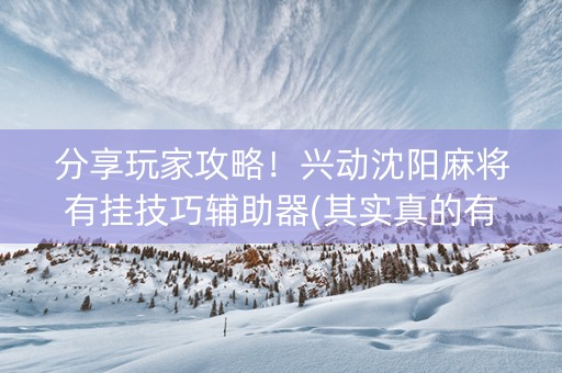 分享玩家攻略！兴动沈阳麻将有挂技巧辅助器(其实真的有挂)
