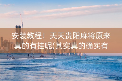 安装教程！天天贵阳麻将原来真的有挂呢(其实真的确实有挂)