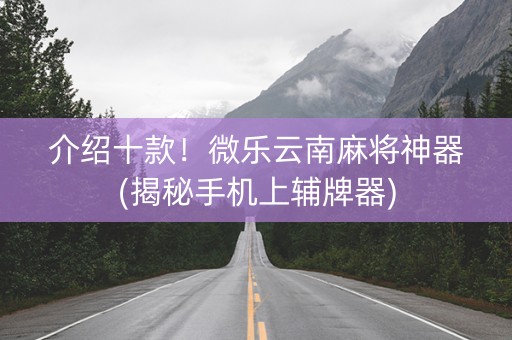 介绍十款！微乐云南麻将神器(揭秘手机上辅牌器)