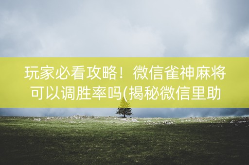 玩家必看攻略！微信雀神麻将可以调胜率吗(揭秘微信里助赢神器购买)