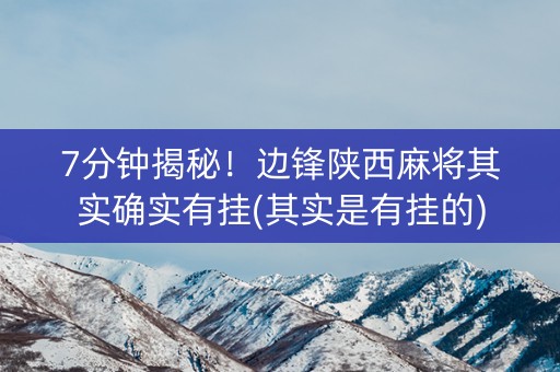 7分钟揭秘！边锋陕西麻将其实确实有挂(其实是有挂的)