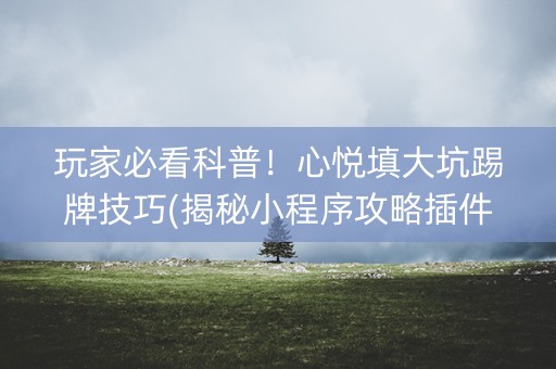 玩家必看科普！心悦填大坑踢牌技巧(揭秘小程序攻略插件)
