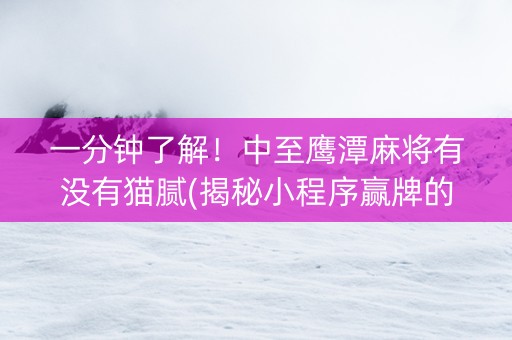 一分钟了解！中至鹰潭麻将有没有猫腻(揭秘小程序赢牌的技巧)