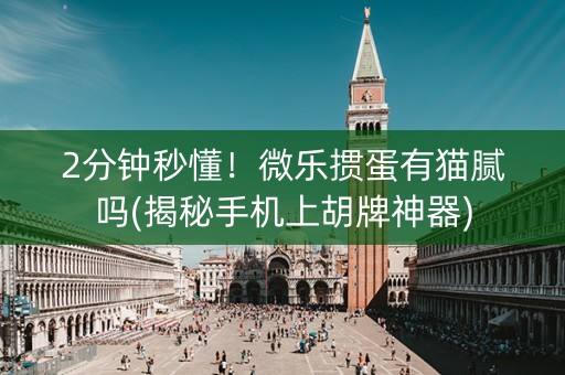 2分钟秒懂！微乐掼蛋有猫腻吗(揭秘手机上胡牌神器)