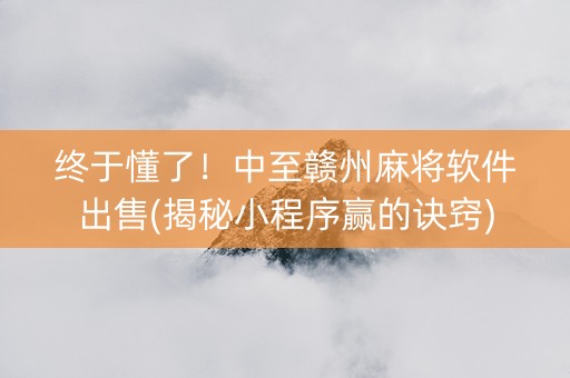 终于懂了！中至赣州麻将软件出售(揭秘小程序赢的诀窍)