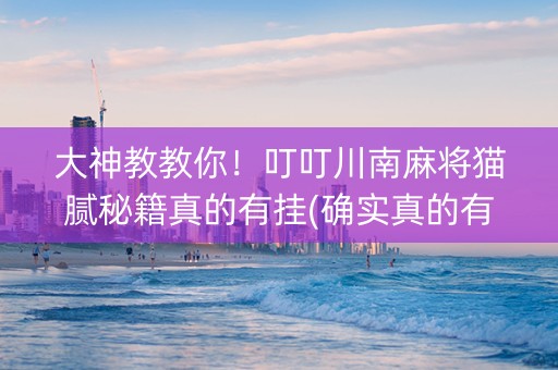 大神教教你！叮叮川南麻将猫腻秘籍真的有挂(确实真的有挂)