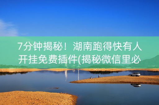 7分钟揭秘！湖南跑得快有人开挂免费插件(揭秘微信里必备神器)