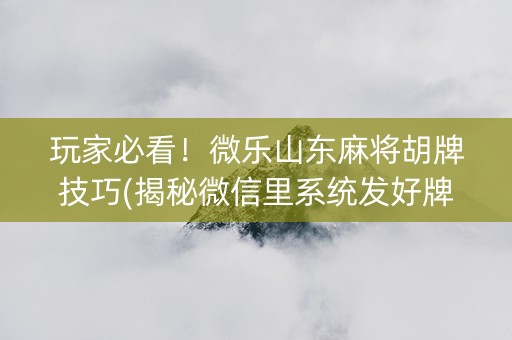 玩家必看！微乐山东麻将胡牌技巧(揭秘微信里系统发好牌)