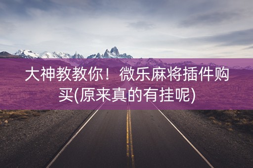 大神教教你！微乐麻将插件购买(原来真的有挂呢)