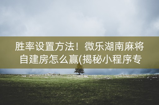 胜率设置方法！微乐湖南麻将自建房怎么赢(揭秘小程序专用神器)
