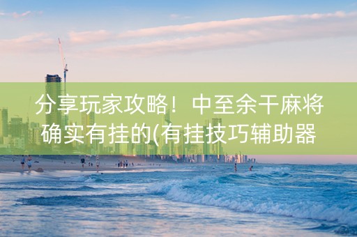 分享玩家攻略！中至余干麻将确实有挂的(有挂技巧辅助器)
