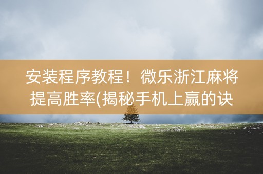 安装程序教程！微乐浙江麻将提高胜率(揭秘手机上赢的诀窍)