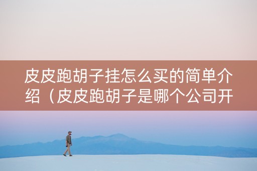 皮皮跑胡子挂怎么买的简单介绍（皮皮跑胡子是哪个公司开发）