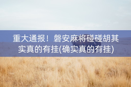 重大通报！磐安麻将碰碰胡其实真的有挂(确实真的有挂)