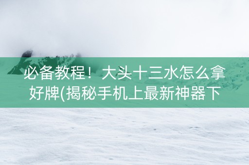 必备教程！大头十三水怎么拿好牌(揭秘手机上最新神器下载)