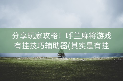 分享玩家攻略！呼兰麻将游戏有挂技巧辅助器(其实是有挂确实有挂)