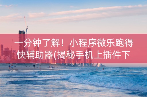 一分钟了解！小程序微乐跑得快辅助器(揭秘手机上插件下载)