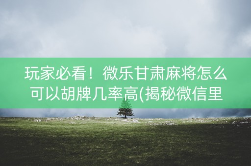 玩家必看！微乐甘肃麻将怎么可以胡牌几率高(揭秘微信里提高胜率)