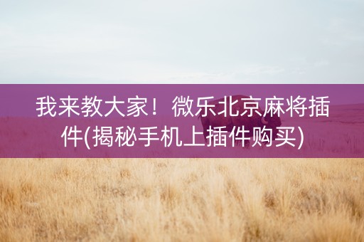 我来教大家！微乐北京麻将插件(揭秘手机上插件购买)