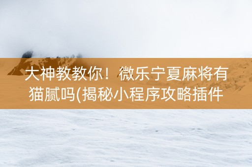 大神教教你！微乐宁夏麻将有猫腻吗(揭秘小程序攻略插件)