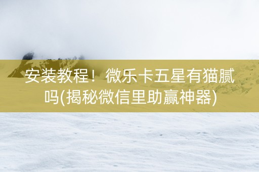 安装教程！微乐卡五星有猫腻吗(揭秘微信里助赢神器)