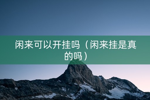 闲来可以开挂吗（闲来挂是真的吗）