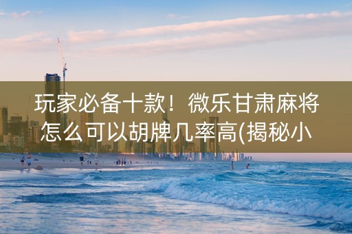 玩家必备十款！微乐甘肃麻将怎么可以胡牌几率高(揭秘小程序攻略插件)