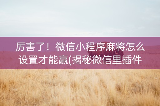 厉害了！微信小程序麻将怎么设置才能赢(揭秘微信里插件下载)