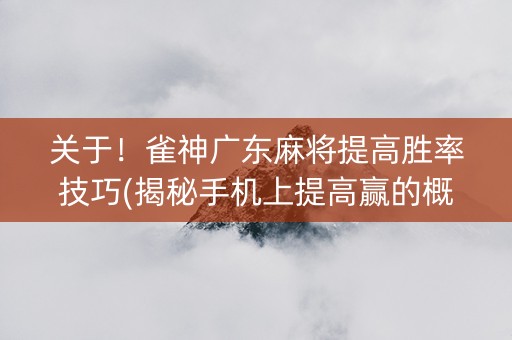 关于！雀神广东麻将提高胜率技巧(揭秘手机上提高赢的概率)
