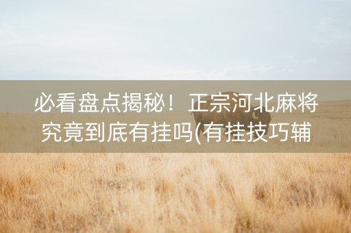 必看盘点揭秘！正宗河北麻将究竟到底有挂吗(有挂技巧辅助器)