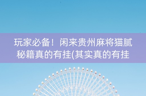 玩家必备！闲来贵州麻将猫腻秘籍真的有挂(其实真的有挂)