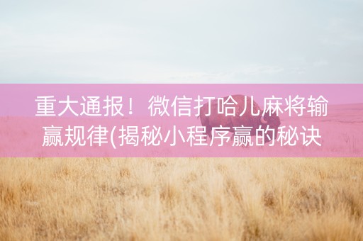 重大通报！微信打哈儿麻将输赢规律(揭秘小程序赢的秘诀)