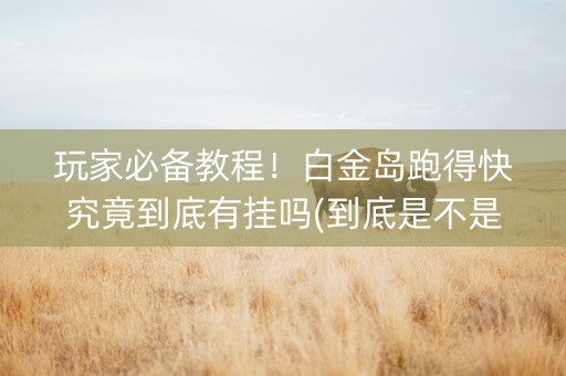 玩家必备教程！白金岛跑得快究竟到底有挂吗(到底是不是有挂)