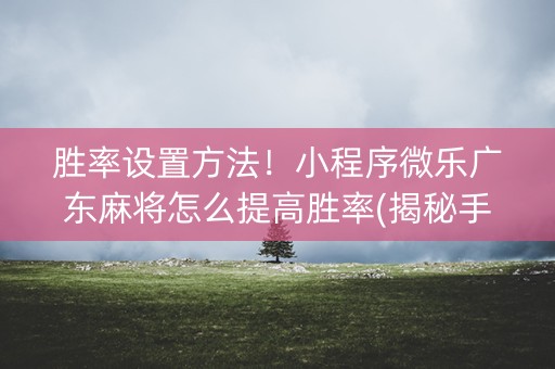 胜率设置方法！小程序微乐广东麻将怎么提高胜率(揭秘手机上如何让牌变好)