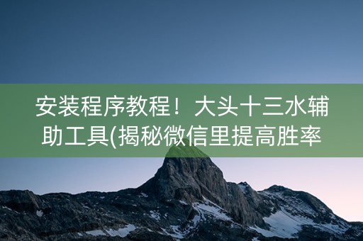 安装程序教程！大头十三水辅助工具(揭秘微信里提高胜率)