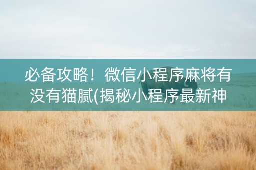 必备攻略！微信小程序麻将有没有猫腻(揭秘小程序最新神器下载)
