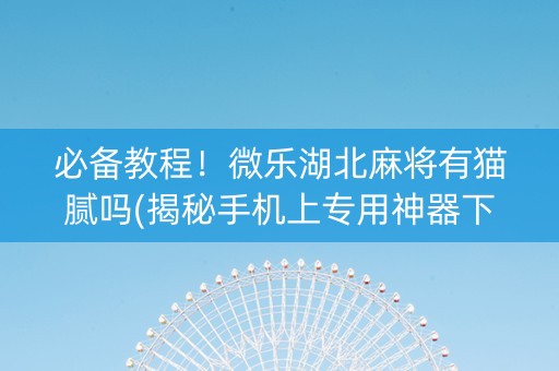 必备教程！微乐湖北麻将有猫腻吗(揭秘手机上专用神器下载)