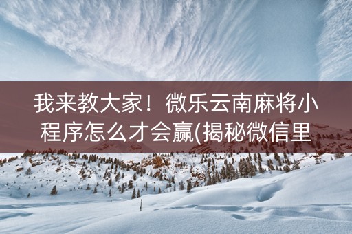 我来教大家！微乐云南麻将小程序怎么才会赢(揭秘微信里插件下载)