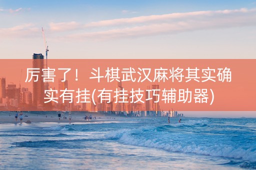 厉害了！斗棋武汉麻将其实确实有挂(有挂技巧辅助器)