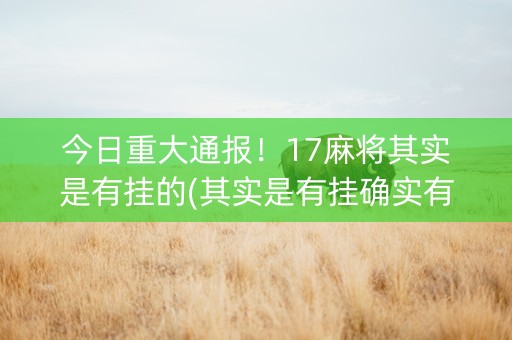 今日重大通报！17麻将其实是有挂的(其实是有挂确实有挂)