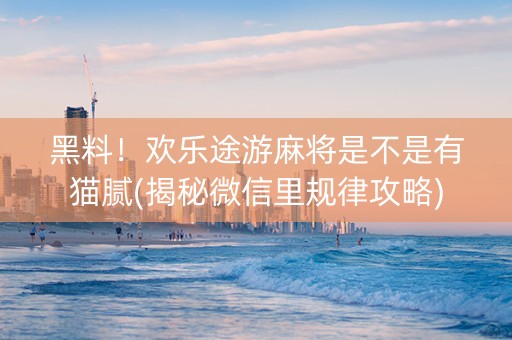 黑料！欢乐途游麻将是不是有猫腻(揭秘微信里规律攻略)