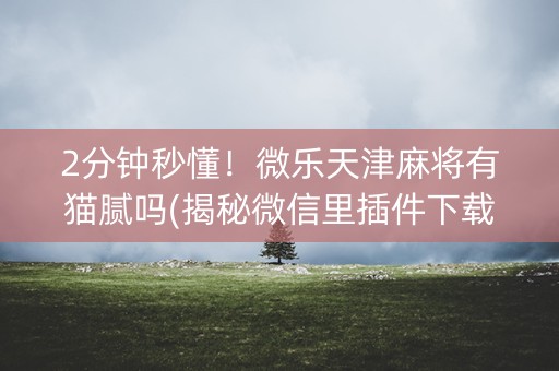 2分钟秒懂！微乐天津麻将有猫腻吗(揭秘微信里插件下载)