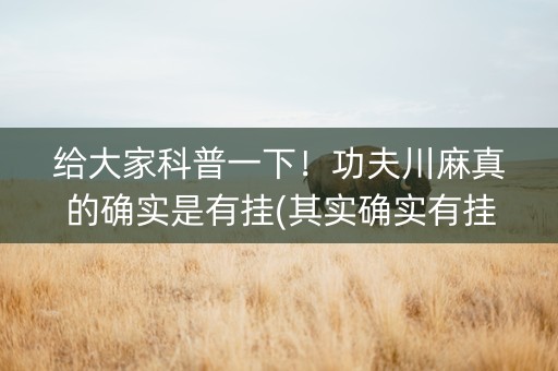 给大家科普一下！功夫川麻真的确实是有挂(其实确实有挂)
