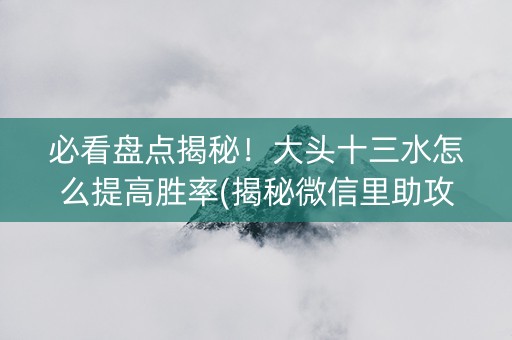 必看盘点揭秘！大头十三水怎么提高胜率(揭秘微信里助攻神器)