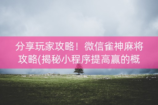 分享玩家攻略！微信雀神麻将攻略(揭秘小程序提高赢的概率)