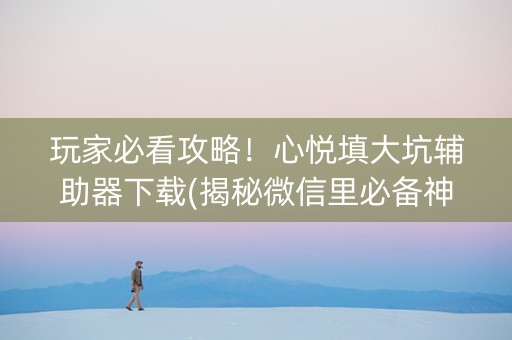 玩家必看攻略！心悦填大坑辅助器下载(揭秘微信里必备神器)