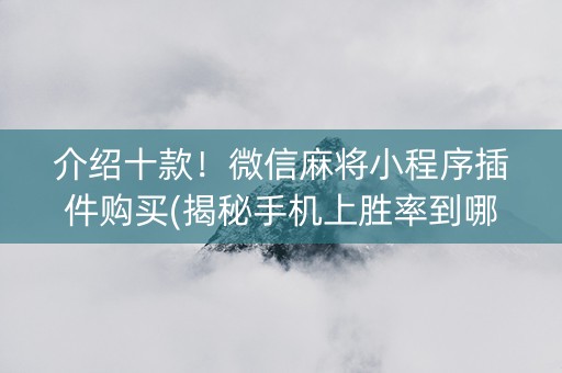 介绍十款！微信麻将小程序插件购买(揭秘手机上胜率到哪调)